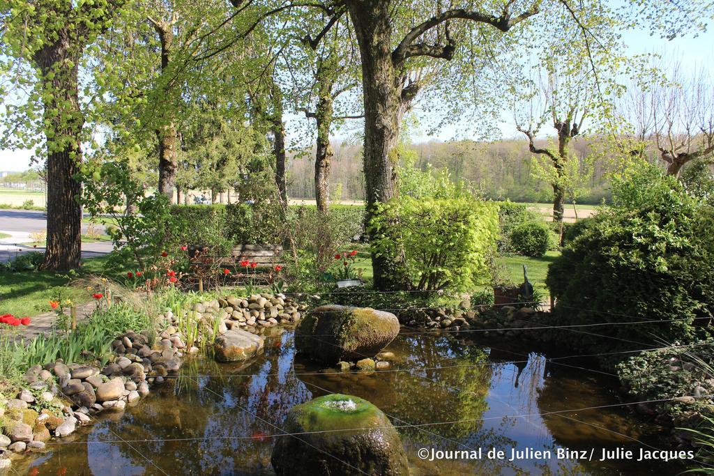 Auberge Sundgovienne Carspach エクステリア 写真